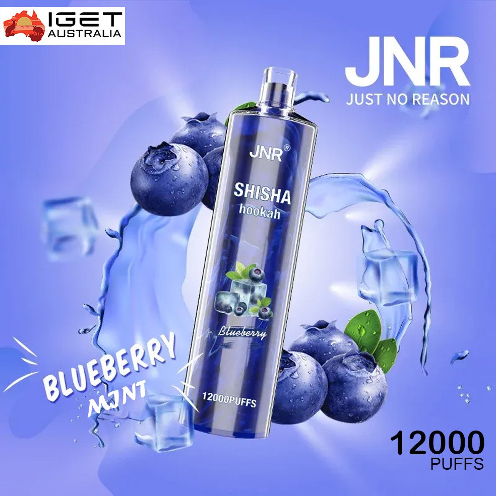 JNR-SHISHA-HOOKAH-BLUEBERRY-MINT-12000-PUFFS-2jpg - Element Vapor Australia